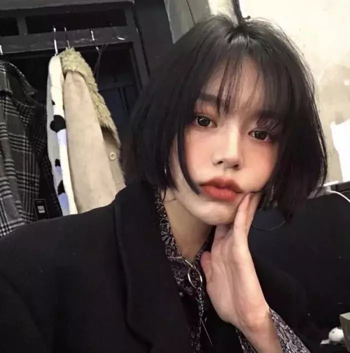 来自日本的机器狗